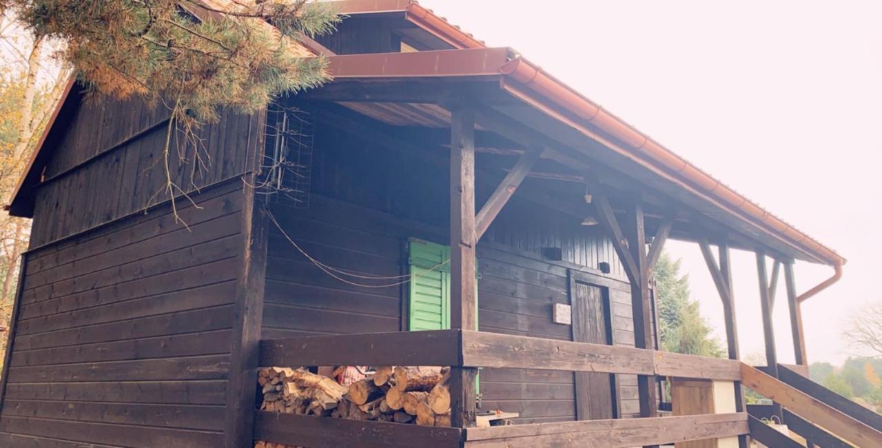 Dom Pod Sosnami Villa Rzewnie Ngoại thất bức ảnh